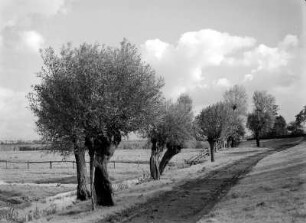 Deichweg Dradenau 1927