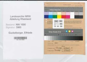 Entnazifizierung Elfriede Guckelberger, geb. 03.03.1901 (Postsekretaerin)