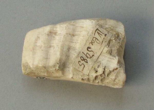 Lame de hache (fragment)