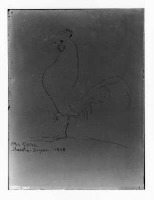 Huhn : Huhn. Federzeichnung (1928; E. Richter)