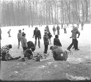 Salzteich: Eislaufen