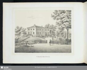 Trachenau