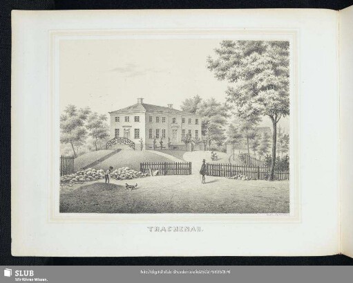 Trachenau