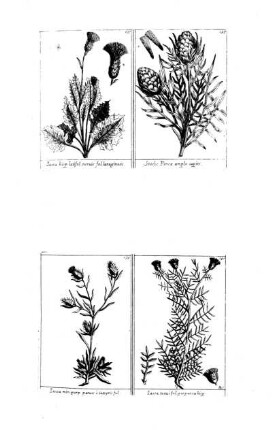 137-140