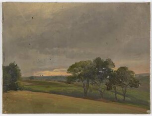 Abendliche Wiese mit Bäumen