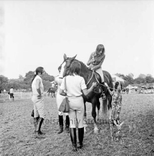 Sportveranstaltung: 2. Pferdeleistungsschau: Veranstalter Reitverein Ahrensburg/Hamburg-Ost: vier junge Reiterinnen, davon eine zu Pferd, Hund: hinten Reiter, Hindernis, parkende Autos, Häuser