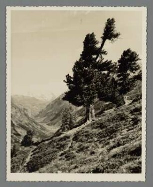 Riffelalp bei Zermatt