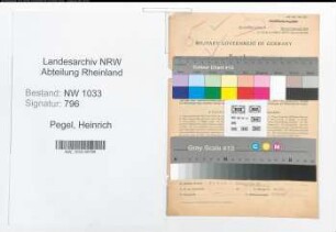 Entnazifizierung Heinrich Pegel , geb. 20.04.1904 (Polizeibeamter)