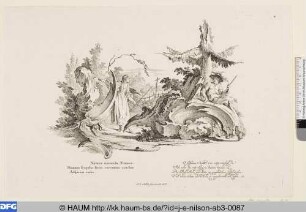 Naturae miracula