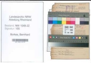 Entnazifizierung Bernhard Borkes , geb. 23.01.1899 (Kaufmaennischer Angestellter)