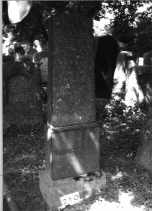 Grabstein 210 (Index: 100085305) Maße HxBxT: 175x48x23 cm Beschreibung: Stele, getreppter Sockel, giebelartiger Abschluß: Grabstein 210