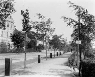 Coswig/Anhalt : Straße in Coswig (Anhalt)