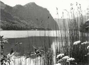 Der Mondsee