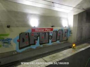 DFV IRG