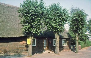 Reetdachhaus mit drei Bäumen davor
