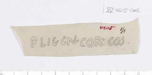 CIL XV 4605, Gelatinefolie