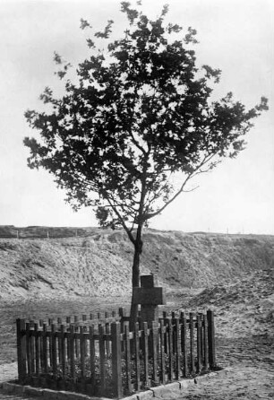 Golzheimer Heide