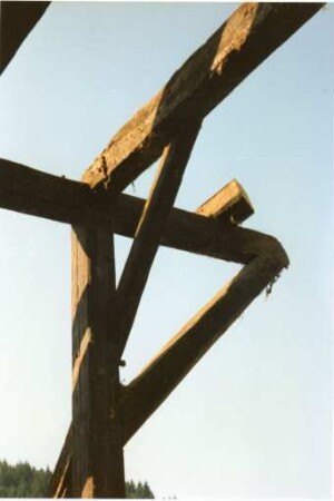 Schwarzwaldhaus Limberg 1