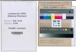 Entnazifizierung Leonhard Woelfel , geb. 23.02.1906 (Kaufmaennischer Angestellter)