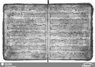 Bütner, Crato: Siehe es hat überwunden der Löwe