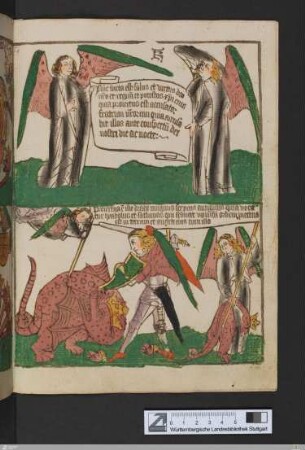 Bild 19
