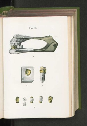Fig. 96.