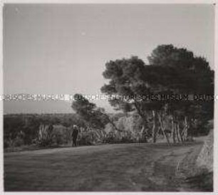 Wehrmachtssoldaten, Athen, Weg zum Flugplatz Tatoi