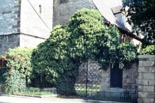 Eingang zum Kirchhof, Mauer mit Portal, dahinter Kirche