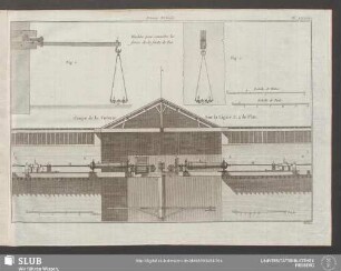 Pl. XXXVII. Forerie Verticale