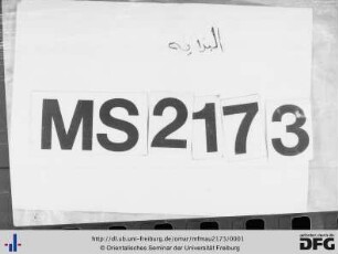 MF Mau 2173