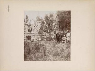 Ruine : Ruine auf Kalkklippen im Kiefernwald.