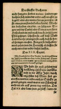 Das XIX. Capitel.