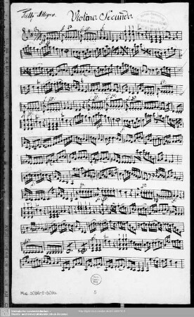 Violino secundo.