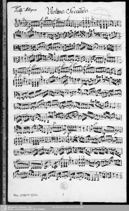 Violino secundo.