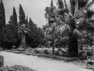 Parkanlage : Park auf der Insel Lacroma