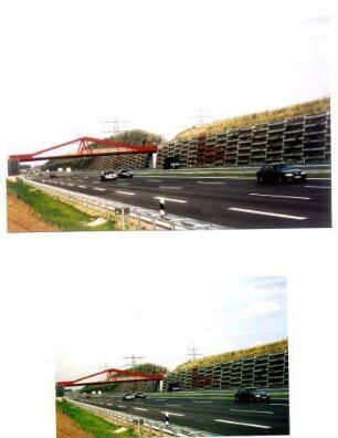 Lärmschutz-Steilwall "Sandweier" Überführung Mittelfeldweg BETEX-Gründwand und EVERGREEN-Raumgitterwand.