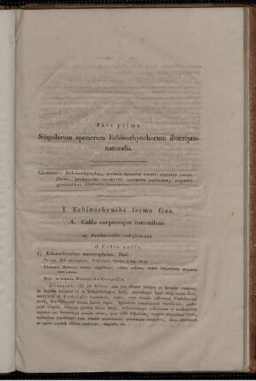 Pars Prima. Singularum specierum Echinorhynchorum descriptio naturalis.