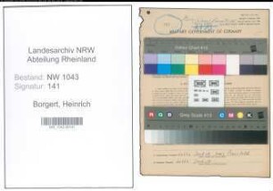 Entnazifizierung Heinrich Borgert , geb. 02.04.1902 (Schuhmacher)