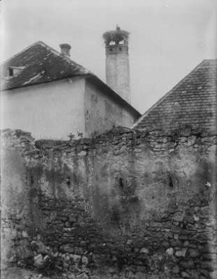 Weißstorch : Weißstorch (Ciconia ciconia Linnaeus) auf seinem Horst auf einem Schornstein.
