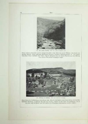 131. Das untere Bodetal