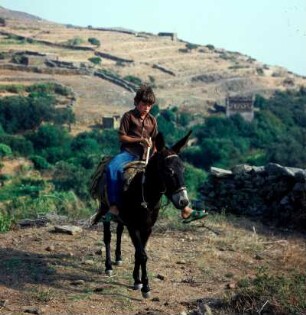 Tinos. Junger Reiter, K1