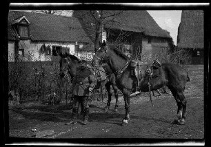 Nicht identifizierbare Ortschaft in Nordfrankreich oder Belgien: Pferdebursche mit 2 Pferden im Hof eines landwirtschaftlichen Anwesens