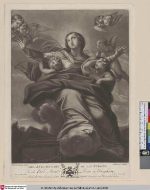The Assumption of the Virgin