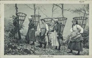 Costumi Biellesi