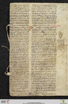 Lib. V, Tit. XXXI:De Excessibus prelatorum, Cap. I