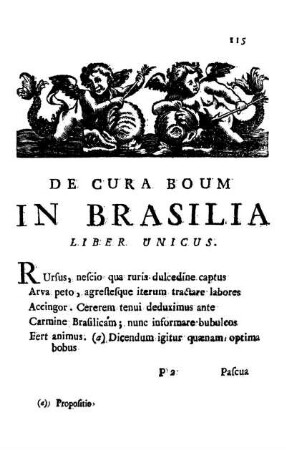 De Cura Boum In Brasilia Liber Unicus.