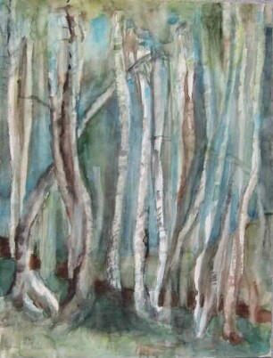 Birkenwald 2