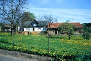 Bauernhof mit Scheune, Wiese