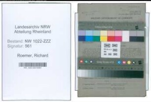 Entnazifizierung Richard Roemer , geb. 01.04.1884 (Maler)