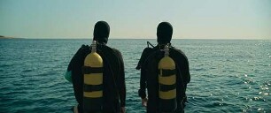The Dive